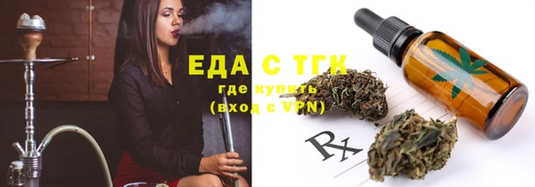 соль ск Новозыбков