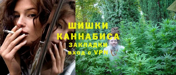 соль ск Новозыбков
