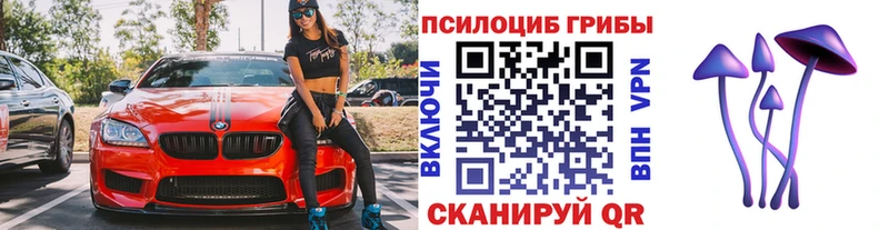 Псилоцибиновые грибы прущие грибы Руза