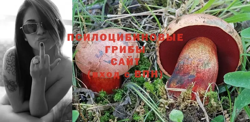 Галлюциногенные грибы Cubensis  Руза 